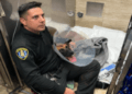 police dogs
